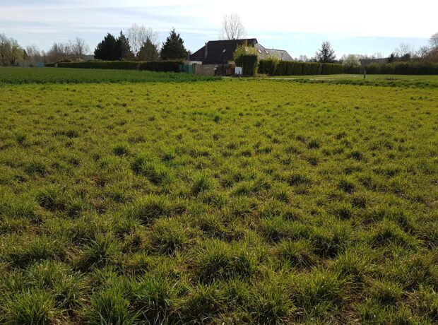 Rare terrain de 861 m² sur la commune de TREPT !!!!