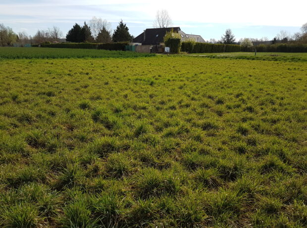 Rare terrain de 861 m² sur la commune de TREPT !!!!